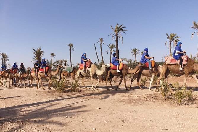 Marrakech Desert Camel Ride - Authentic Berber Mint Tea Experience