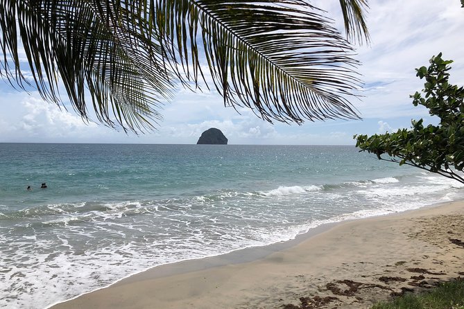 Martinique Shore Excursion - Authentic Tour of Southern Martinique - Positive Customer Reviews