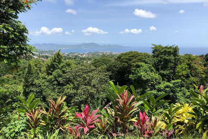 Martinique Shore Excursion - Unmissable Martinique North Tour - Tour Highlights and Authentic Experience