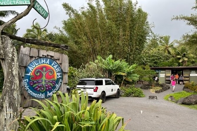 Maui by Storm: Epic Private Luxury Road to Hana Adventure Tour - Sightseeing Highlights