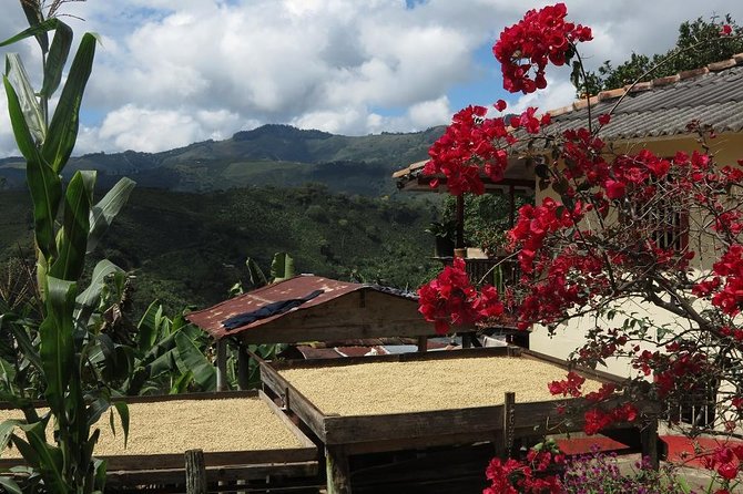 Medellín Coffee Tour to Concordia - Directions
