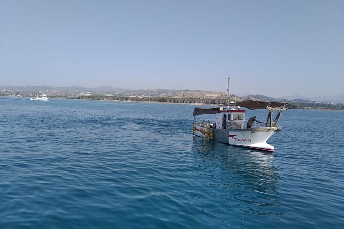 Mediterranean Route - 2 Hours Boat Trip and Local Fish for Lunch Included - Questions and Additional Information