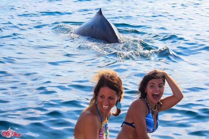 Mega Yacht All-Inclusive Private Boat Tour - Reviews