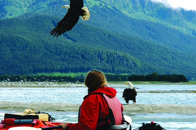 Mendenhall Glacier View Sea Kayaking - Overall Experience and Recommendations
