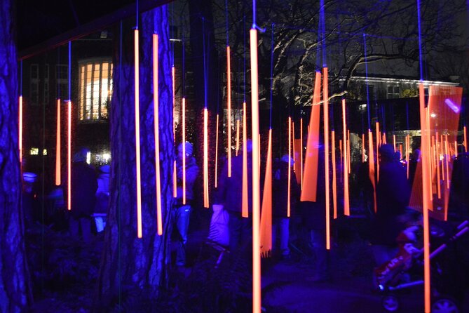 Mikes Amsterdam Light Festival Bike Tour With Gluhwein or Hot Chocolate - The Sum Up