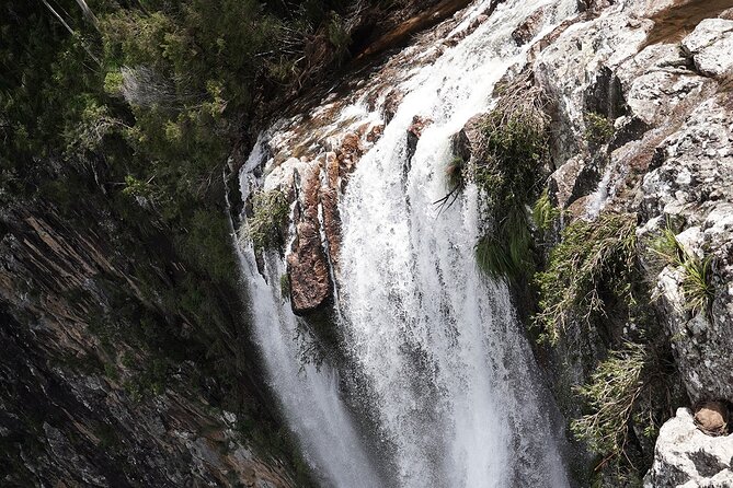 Minyon Falls Full-Day Walking Tour - Lunch and Refreshment Options on the Tour