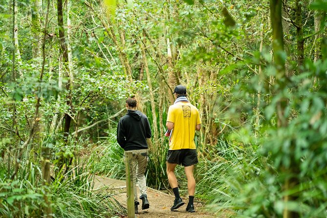 Minyon Falls Half-Day Walking Tour - The Sum Up