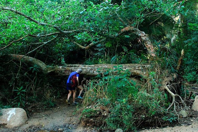Monkey Mountain Jungle Hike Adventure - Common Questions