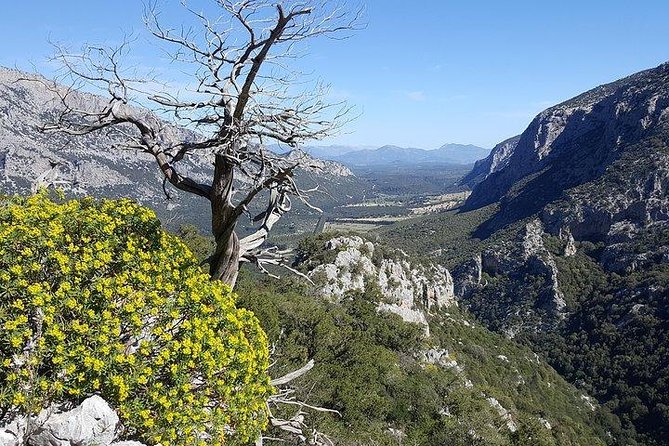 Monte Tiscali Hiking Day Trip From Orosei  - Sardinia - Directions