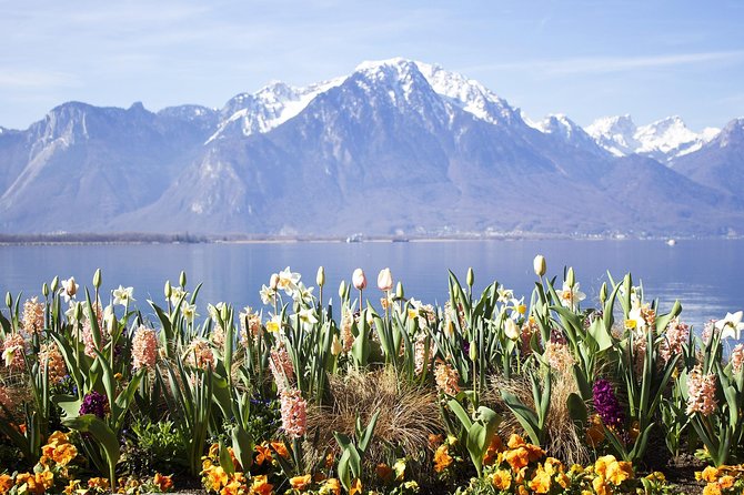 Montreux - Private Tour With Visit to Castle - Common Questions