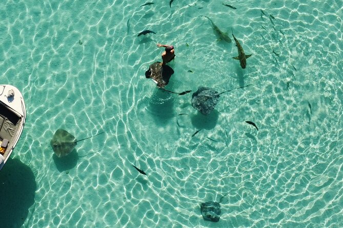 Moorea Half Day Private Tour With Snorkeling and Cruising the Lagoon - Exploring the Secret Coral Garden