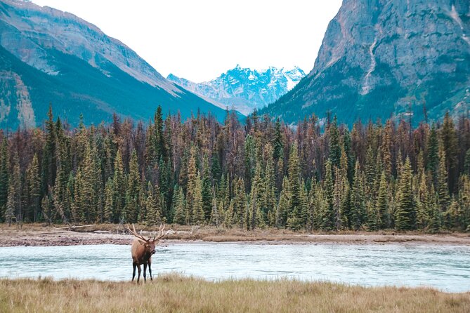 Moraine Lake, Lake Louise & Banff Small Group Adventure Tour - Common Questions