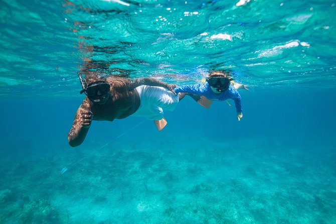 Morning Half Day Cruise From Providenciales With Snorkeling and Iguana Island - Additional Information and Cancellation Policy