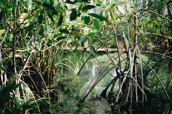 Morning Hike and Sunrise in Krabi With Your English-Speaking Guide - Capture Unforgettable Moments on Your Sunrise Hike