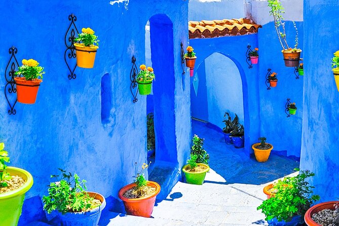 Morocco 8-Night Private Tour: Imperial Cities & Sahara Desert  - Casablanca - The Sum Up