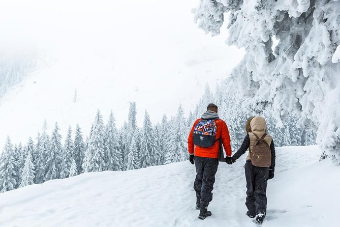 Mount Pilatus and Lucerne Winter Photo Tour - Exploring Mt. Pilatus