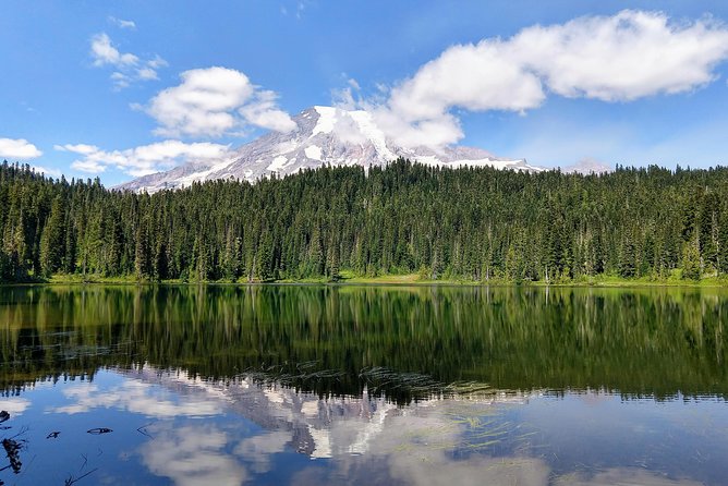 Mount Rainier National Park Luxury Small-Group Day Tour With Lunch - Common Questions