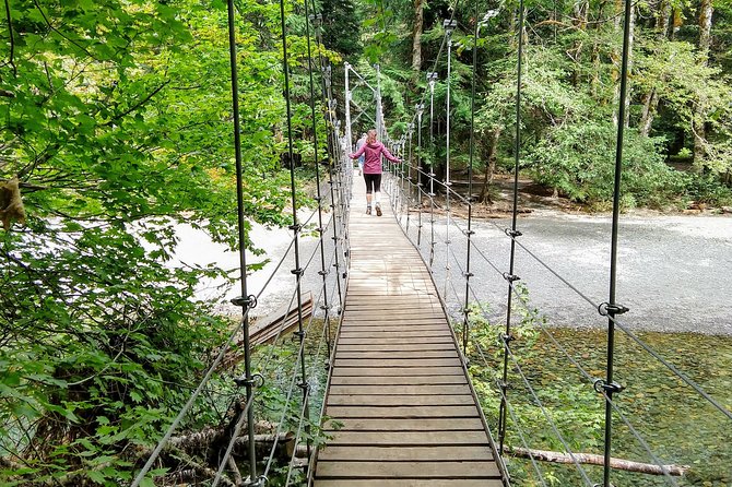 Mount Rainier National Park - Private Luxury Day Tour With Lunch - Reviews and Ratings