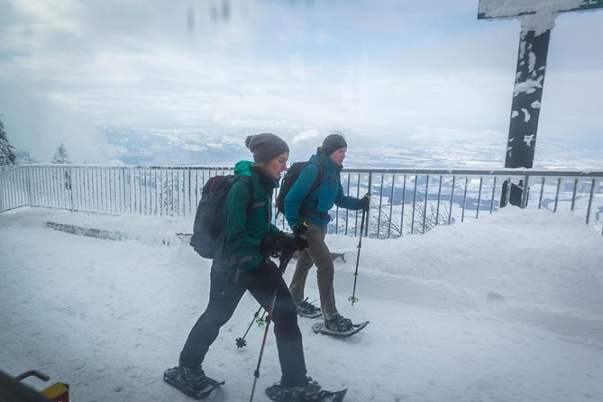 Mount Rigi and Lucerne Winter Photo Tour - Common Questions