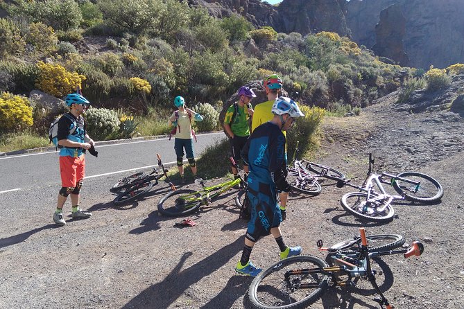 Mountain Bike Excursions - Common Questions