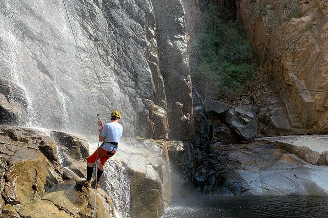 Mt. Lemmon Half Day Rock Climbing or Canyoneering in Arizona - The Sum Up
