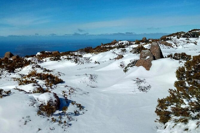 Mt Wellington Ultimate Experience Tour From Hobart - Return to Starting Point and Exploring Other Attractions
