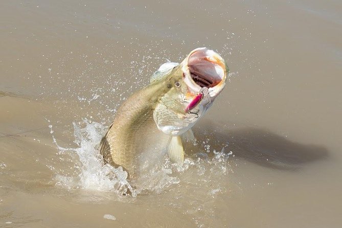 Multi-Day Fishing Safari From Darwin Staying Aboard a Mother Ship - Common Questions