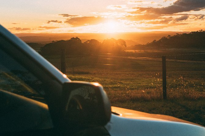 Munich to Prague - Private Transfer With 2 Hours of Sightseeing - What to Expect During the Transfer