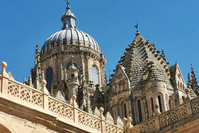 Must See Salamanca Walking Tour (Could Be Billingual) - The Sum Up