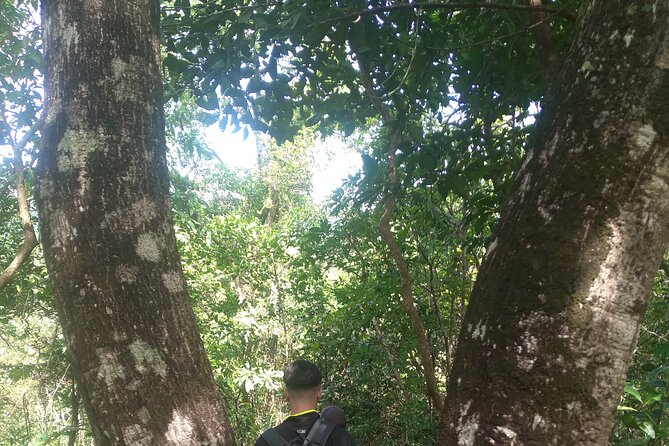 My Son Sanctuary and Mountain Trekking - Safety Guidelines