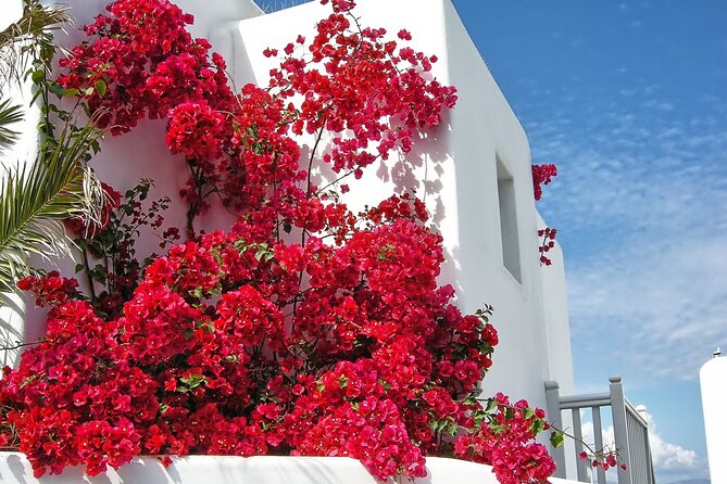 Mykonos Small-Group Tour With Mykonian Guide - Memorable Native Guide Experience
