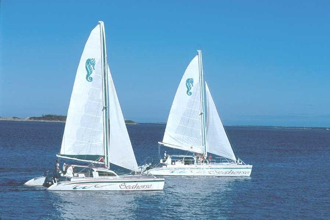 Nassau Sail and Snorkel Tour - Directions
