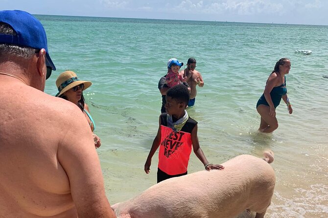 Nassau Small-Group Half-Day Snorkeling Sea Escape - The Sum Up