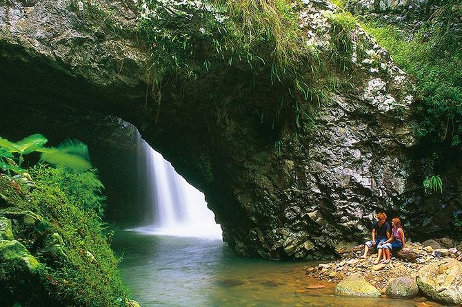 Natural Bridge Glow Worm Night Tour From Gold Coast - The Sum Up