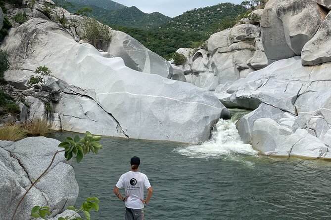 Nature and Wildlife Hike in Los Cabos With Lunch  - Cabo San Lucas - Authentic Reviews and Ratings