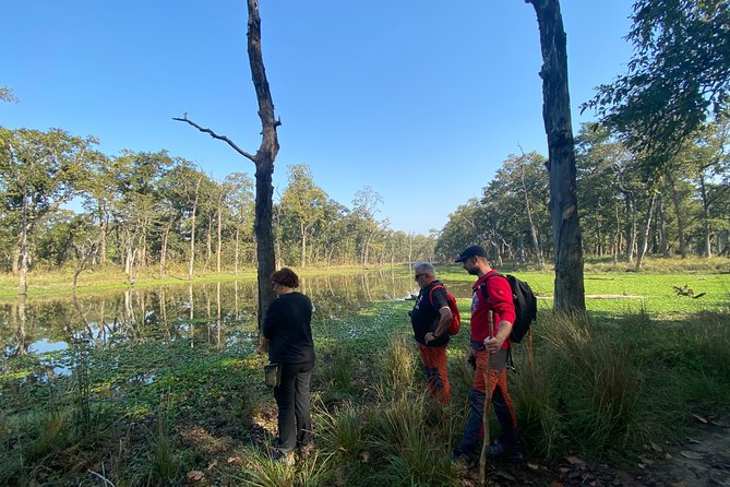 Nature Walk in Chitwan Jungle Safari With Guide - Booking Options and Pricing
