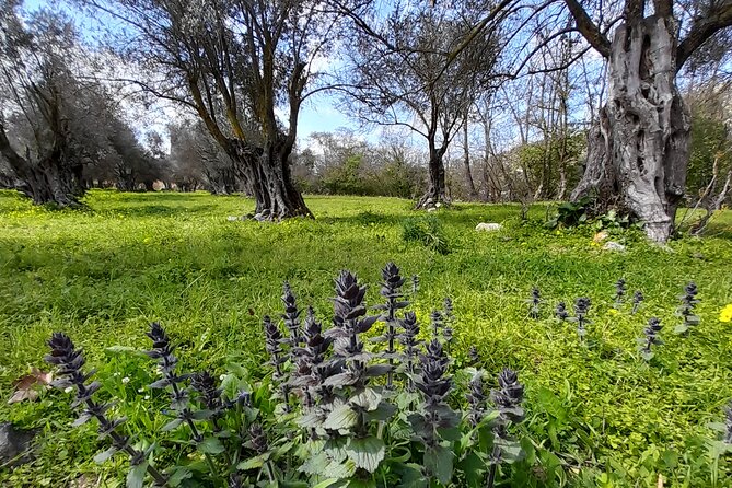 Naxos: Countryside Hike Among Villages & Byzantine Churches - Local Culture and Traditions