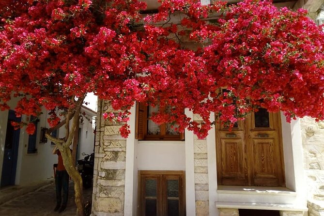 Naxos: Highlights of Naxos Day Tour - Tour Guides