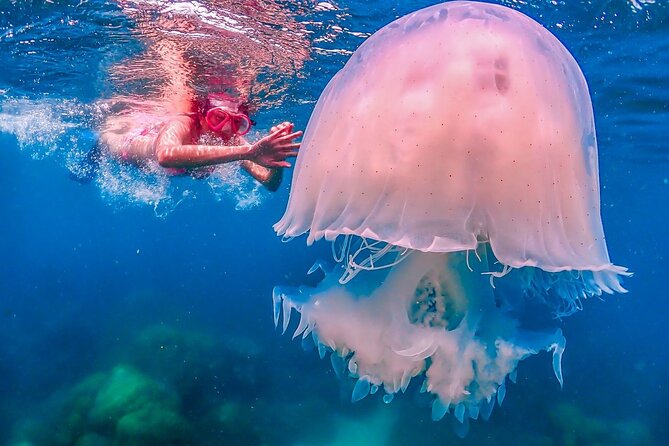 Nemo Island Full Day Tour by Speedboat With Snorkeling Experience - Common Questions