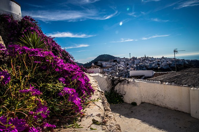 Nerja (Pueblo) Frigiliana & El Acebuchal - Semi-Private - Challenges With Language Balance