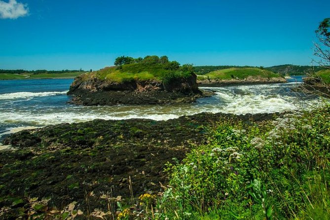 New Brunswick Shore Excursion: Bay of Fundy and More Highlights Tour - Cancellation Policy, Reviews, and Support