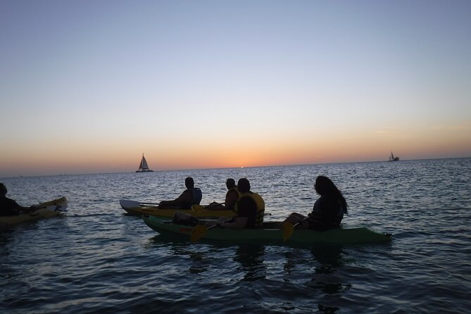 Night Glass Kayak Tour - Viator Help Center and Product Information