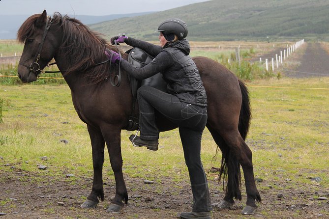 North Iceland: Horseback Riding Tour  - Akureyri - Reviews and Testimonials