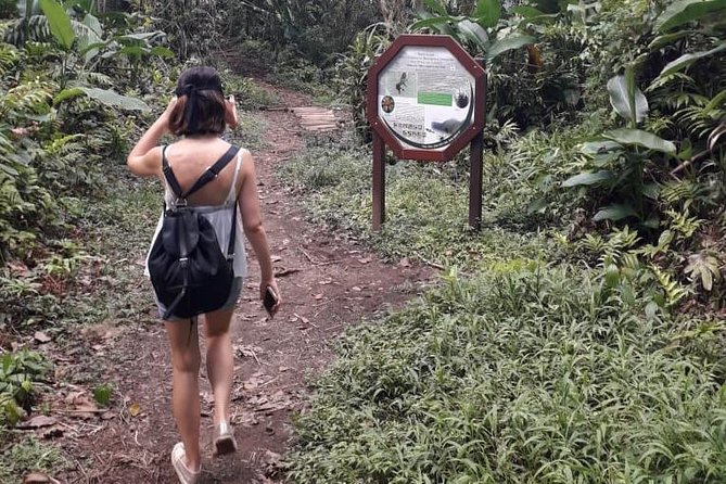 North Island Tour And Martinique Best Secret - The Sum Up