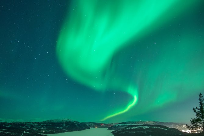 Northern Light Safari - Common Questions
