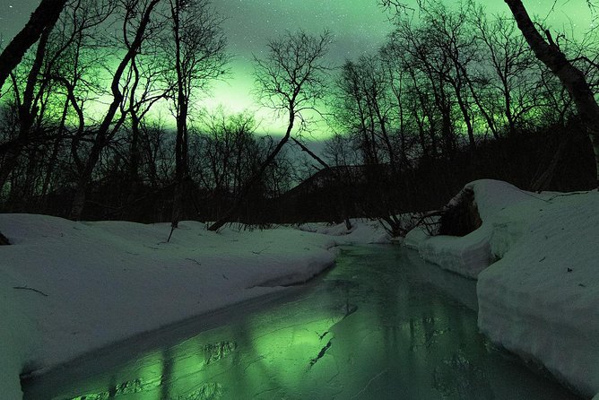 Northern Lights by Minibus. Photos Under the Lights Included. Tromso - Customer Reviews