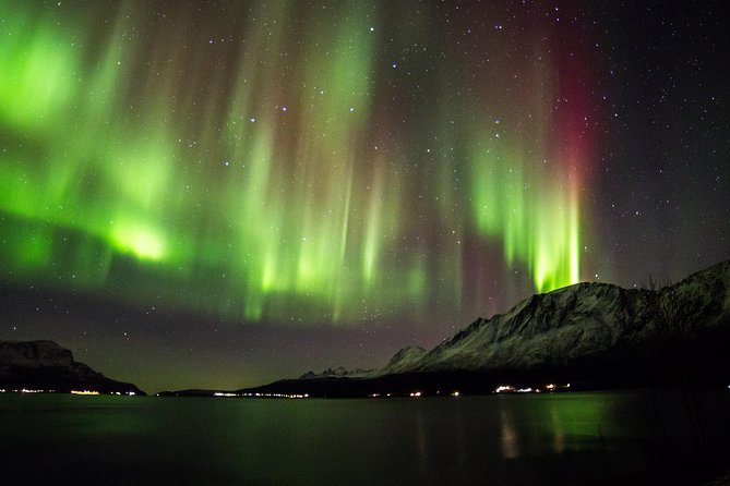 Northern Lights Safari From Tromso - Reviews