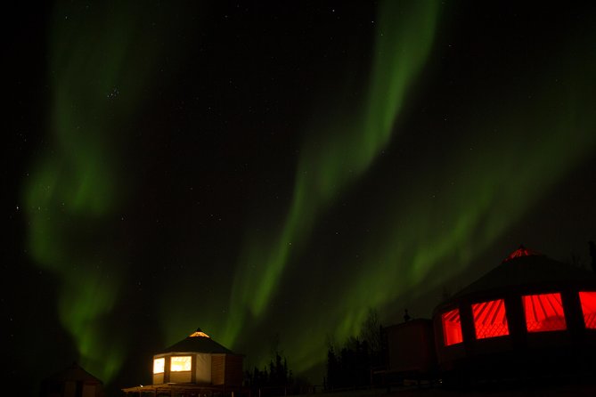 Northern Lights Viewing Including Dinner and 1-Hour Dog Sledding - Negative Experience With Booking