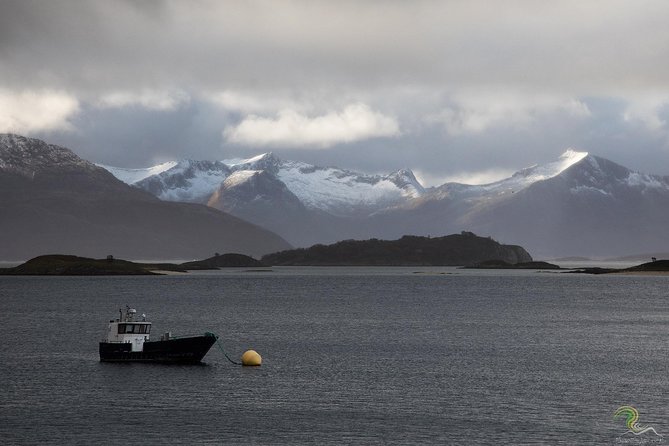 Norwegian Fjords Tour, Including Professional Photos in Tromso - Tour Details and Features