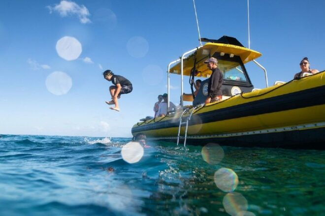 Oahu: North Shore Haleʻiwa: Private Boat Charter - Reviews
